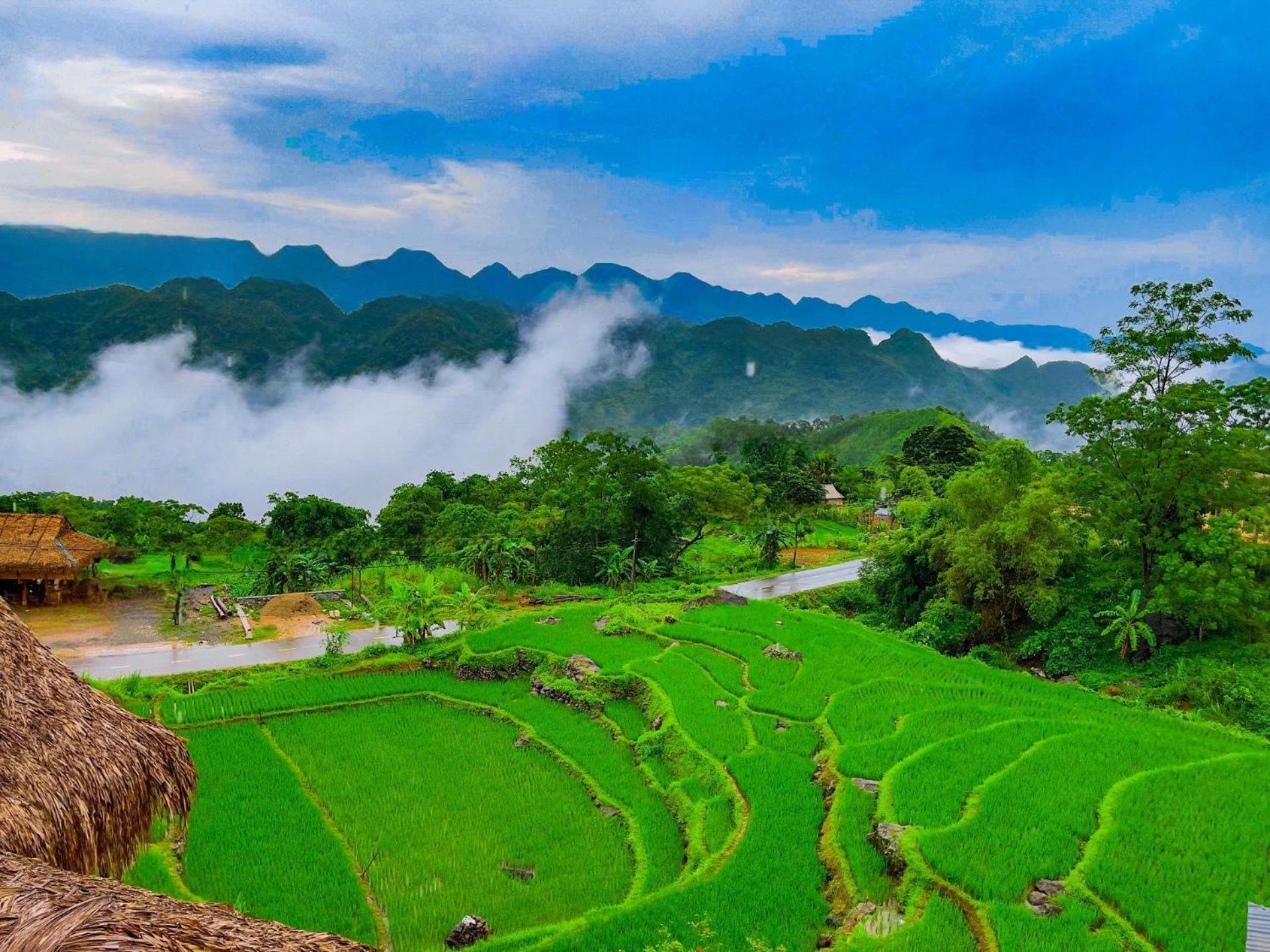 Pu Luong Jungle Lodge Dış mekan fotoğraf